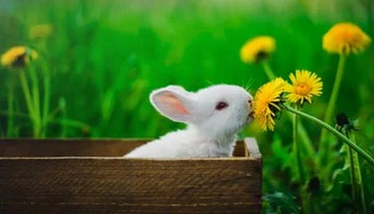 九游娱乐-史上最年轻的“欧冠最佳射手”首次问鼎，欧冠历史最年轻出场球员