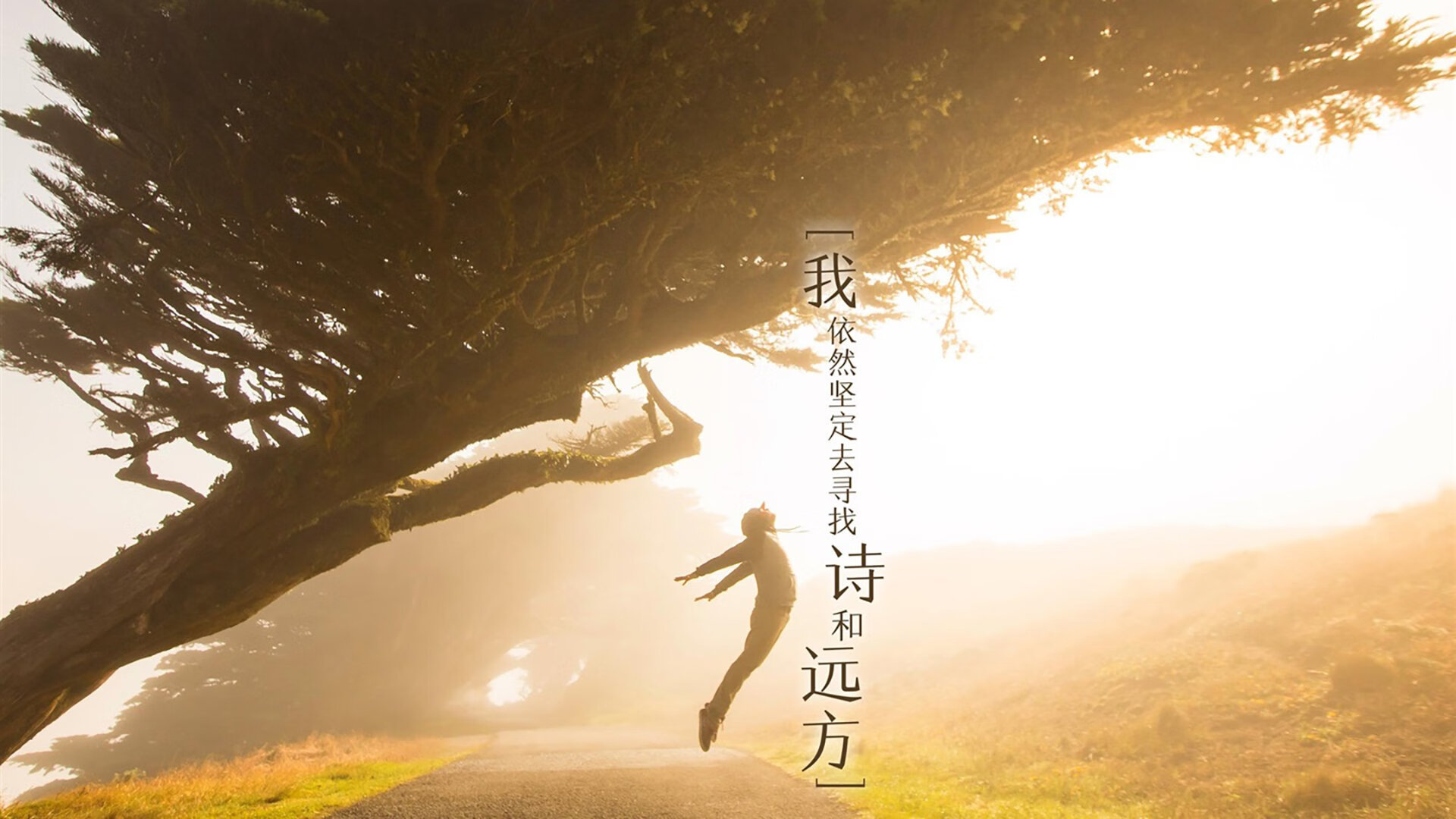 “英雄救援”——赛场紧急救援中的感人瞬间，紧急救援 英雄