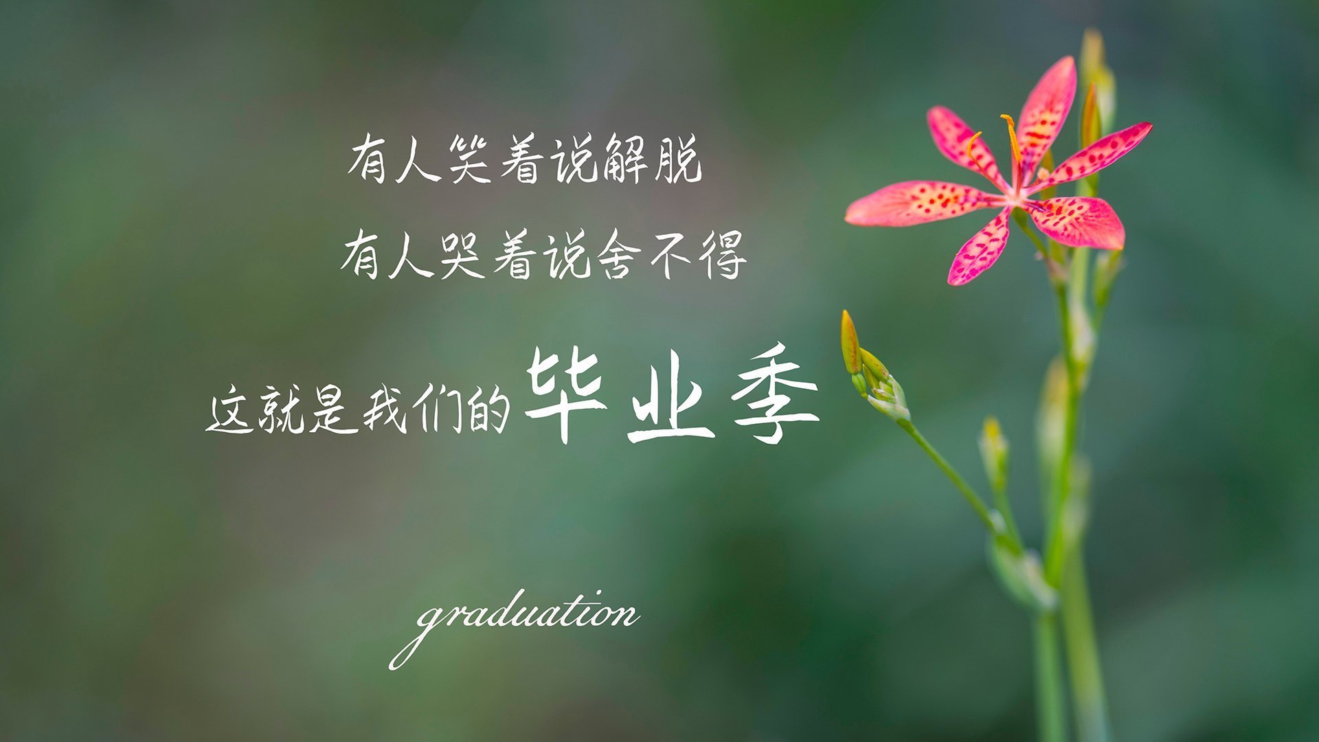 《电竞场馆的绿色升级：环保理念融入硬件设计》，电竞场馆平面设计图