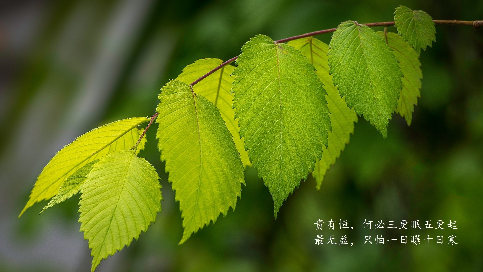 《电竞场馆的绿色升级：环保理念融入硬件设计》，电竞场馆平面设计图