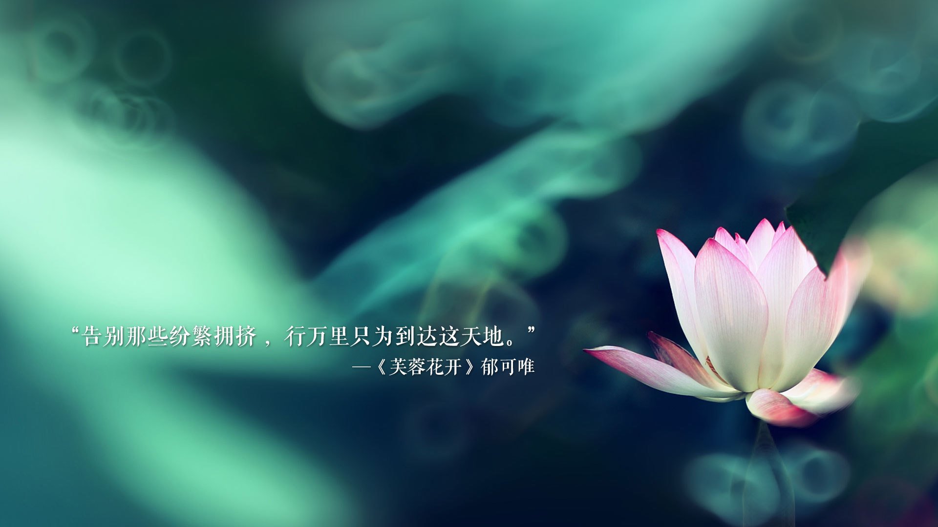 俱乐部官方“互动日”：球迷感受异国风情，俱乐部日常活动