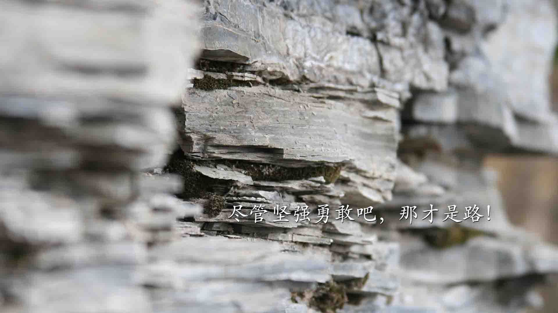 青少年足球学校特色课程逐步推行，培养多元化足球人才，青少年足球教学原则