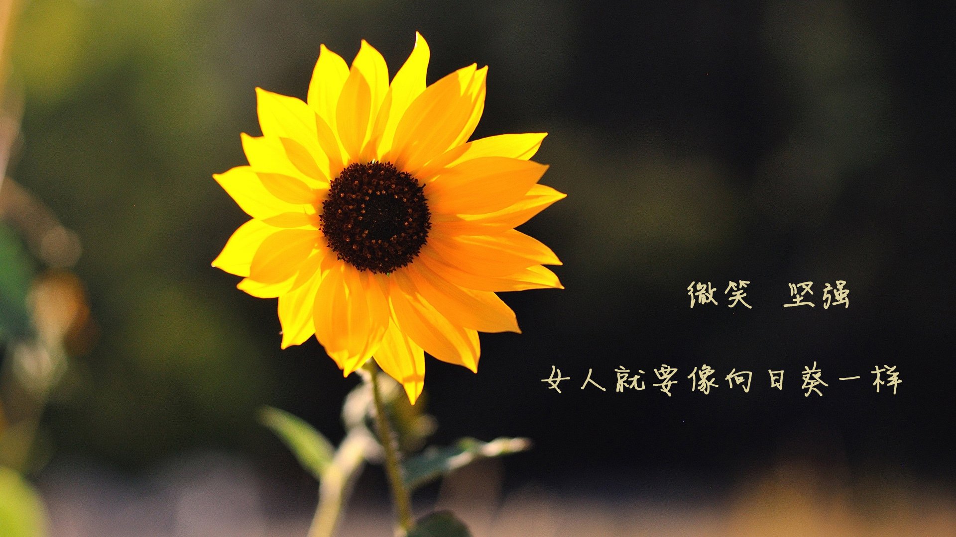 华山杯篮球赛即将拉开序幕，球迷热情高涨，华山篮球场
