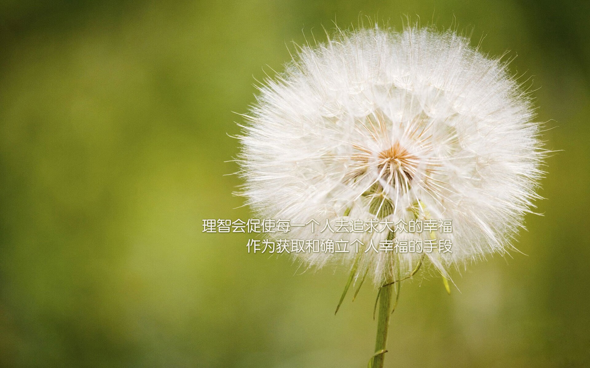 南特官宣签下喀麦隆国脚，期待他在球队崭露头角，南特是哪个国家