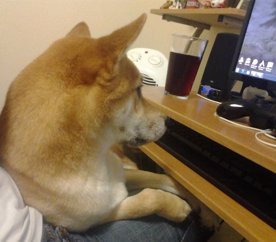 九游电脑版-亚冠联赛国家队战平 球迷理性讨论战术体系，亚冠联赛分析