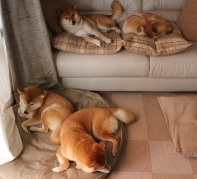 博塔弗戈后卫临危不乱，成功化解数次险情，博塔弗戈ds