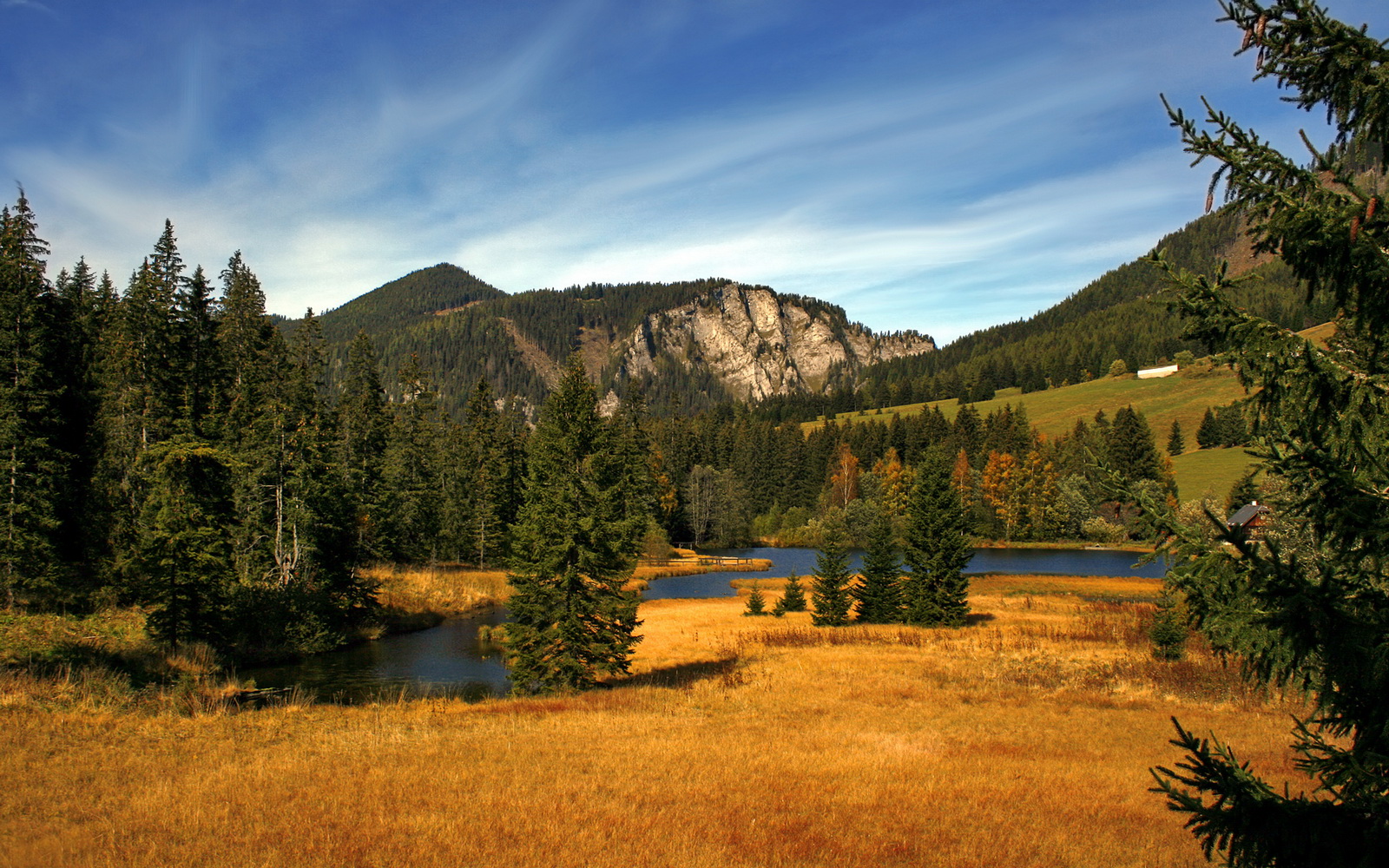 九游网页版官网-新加坡队的未来：科技与创新如何助力未来赛事中的胜利，新加坡小组赛