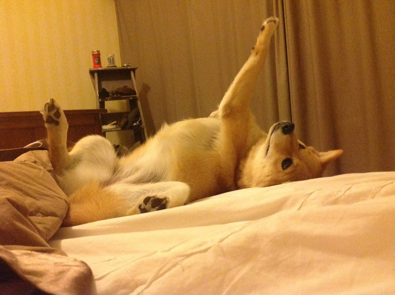 新闻中心推出品牌新形象，全新品牌形象