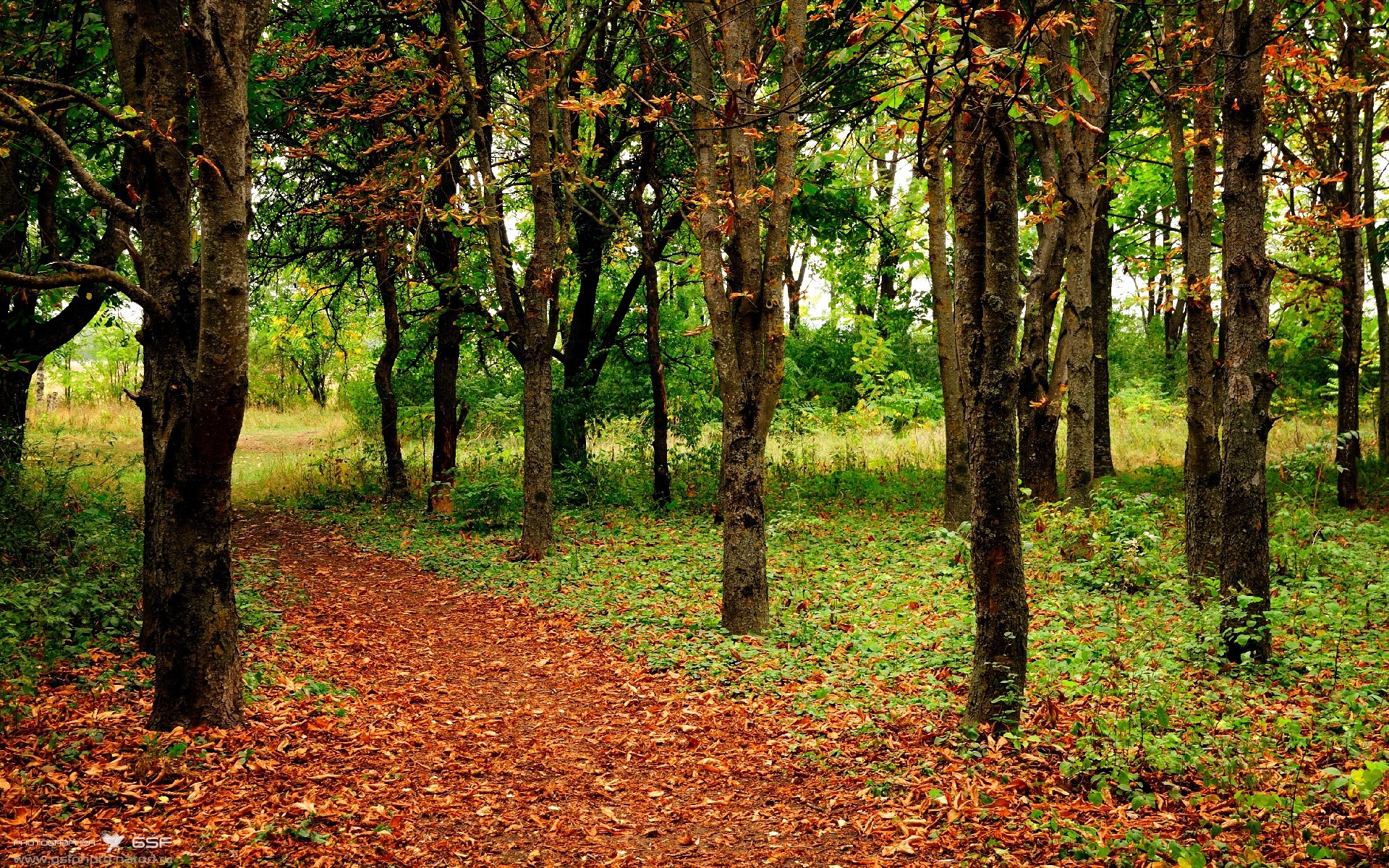 九游登录中心-76人安排模拟客场环境提升抗压能力，76人场地