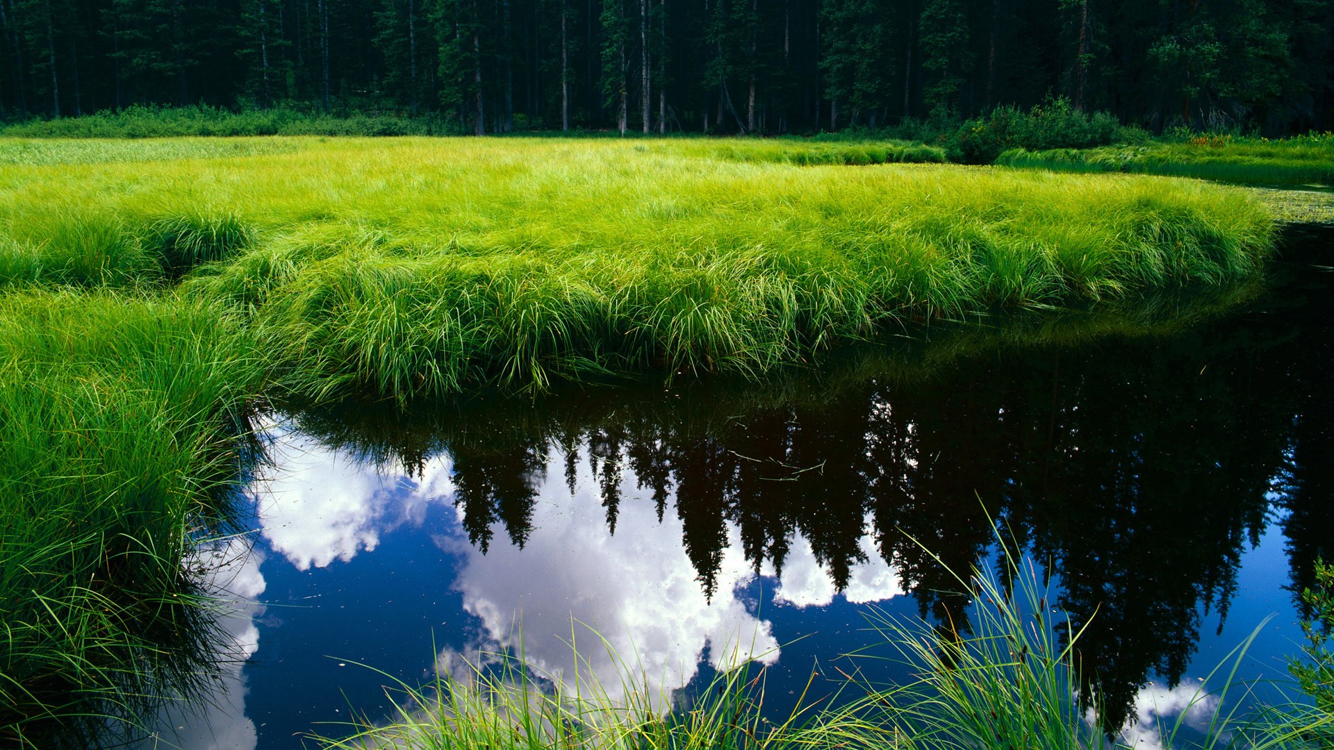 丁俊晖称比赛是压力也是前进动力，丁俊晖名场面