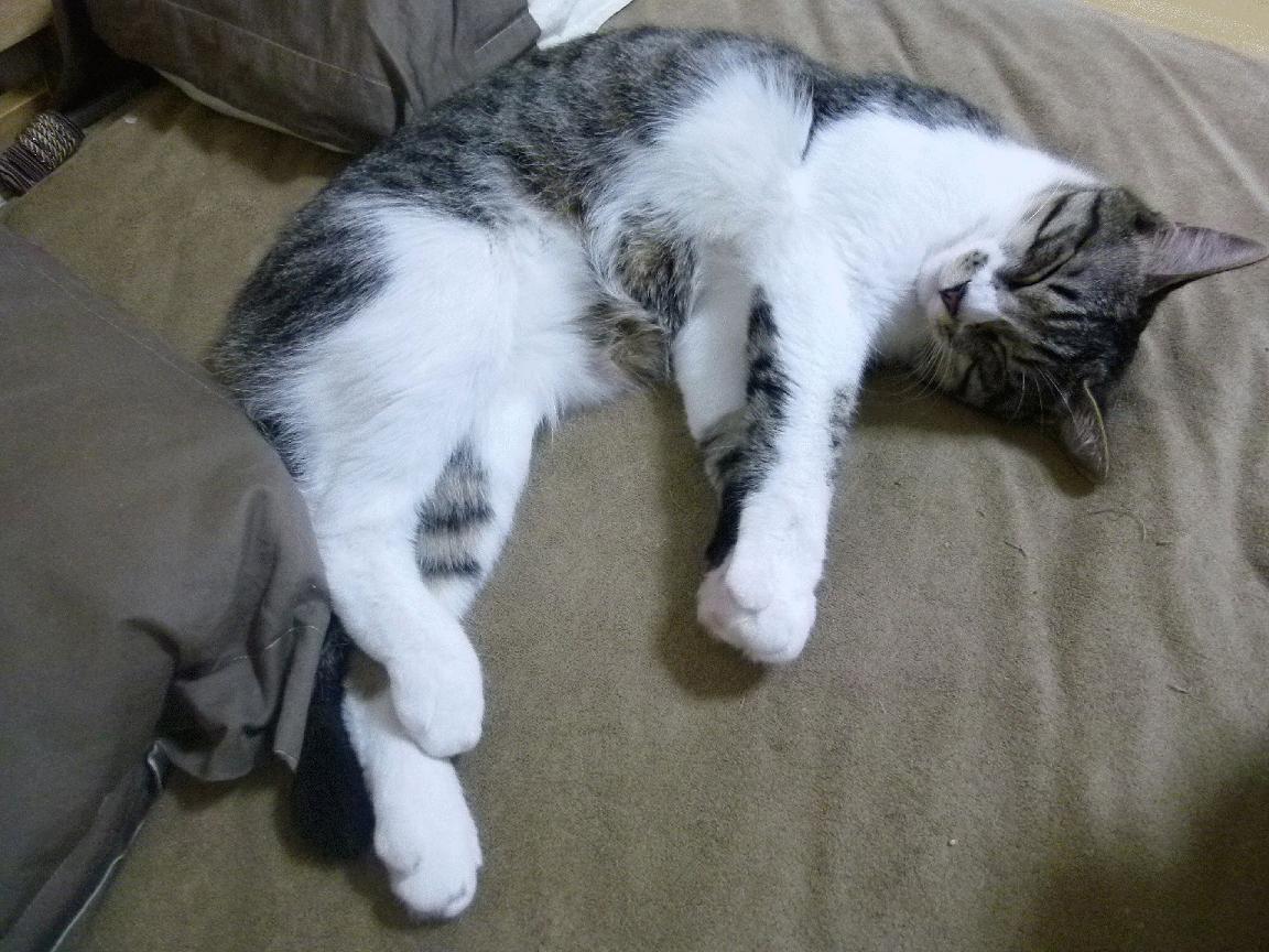 九游（jiuyou.com）游戏-中超俱乐部加强数据分析手段辅助战术制定，中超球队数据