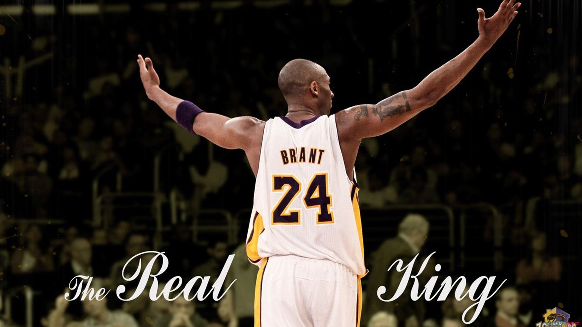 九游手机游戏-“球迷见证：最火爆的现场应援瞬间”，篮球比赛应援